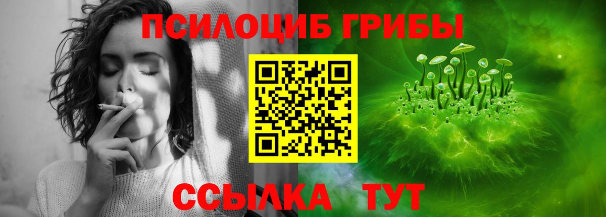 Псилоцибиновые грибы прущие грибы  Вход с VPN  Чебаркуль 